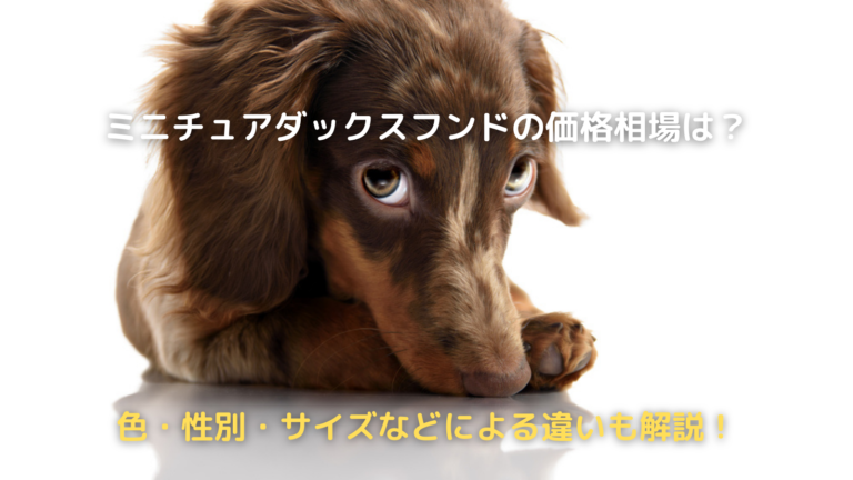 ミニチュアダックスフンド 株式会社わんこのおもい 小型犬専用日本製高級ドッグフード販売