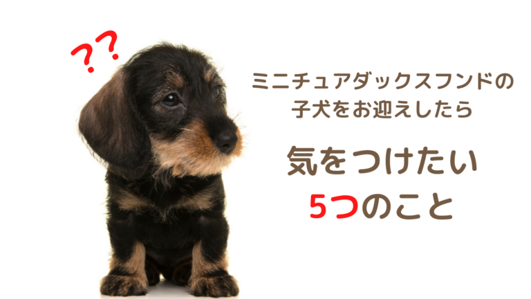 株式会社わんこのおもい 小型犬専用日本製高級ドッグフード販売