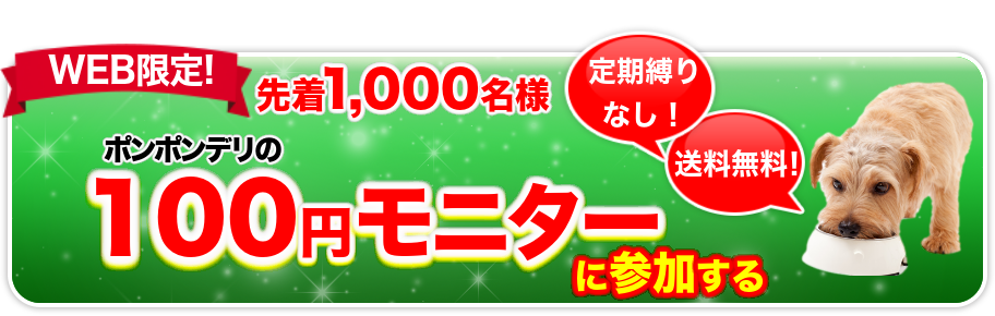 ポメラニアンにはたぬき顔とキツネ顔がいる見分け方や似合うカットを紹介 株式会社わんこのおもい 小型犬専用日本製高級ドッグフード販売